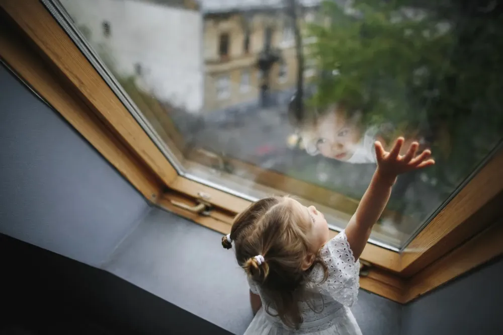 nettoyage de Velux à Bruxelles